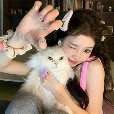肥猫正传粤语